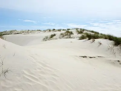 Dünenlandschaft auf der Nordseeinsel Amrum