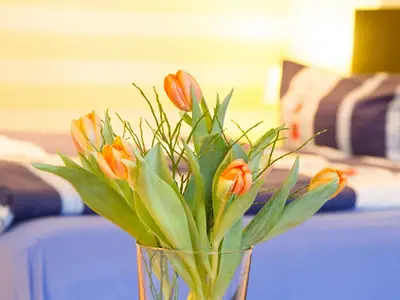 Ferienwohnung für 2 Personen (28 m²) in Wittdün 6/10