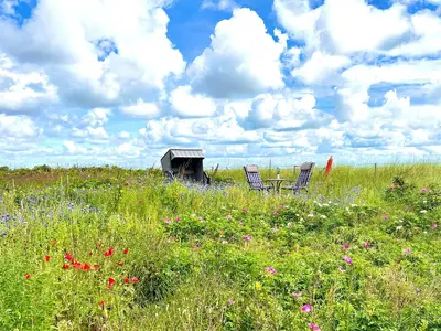 Ferienwohnung für 2 Personen (50 m²) in Wittdün 6/10