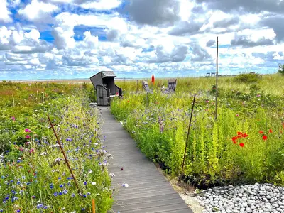 Ferienwohnung für 2 Personen (50 m²) in Wittdün 9/10
