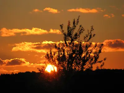 Ferienwohnung für 2 Personen (20 m²) in Wittdün 10/10