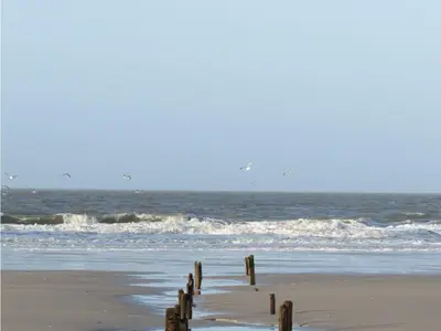 Ferienwohnung für 2 Personen (44 m²) in Wittdün 10/10