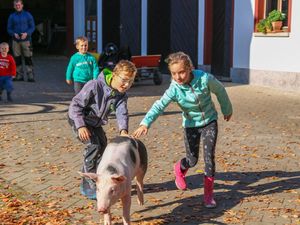 Ferienwohnung für 4 Personen (90 m&sup2;) in Wittelshofen