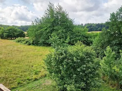 Ferienwohnung für 4 Personen (55 m²) in Wittenbeck 4/10