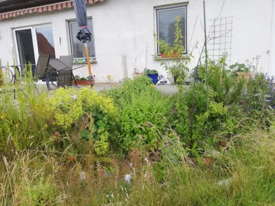 Ferienwohnung für 4 Personen (75 m²) in Wittenburg 1/10