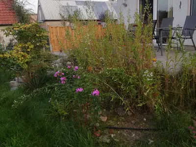 Ferienwohnung für 4 Personen (75 m²) in Wittenburg 6/10