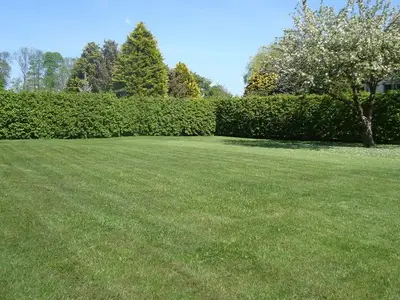 Ferienwohnung für 6 Personen (76 m²) in Wittichenau 7/10