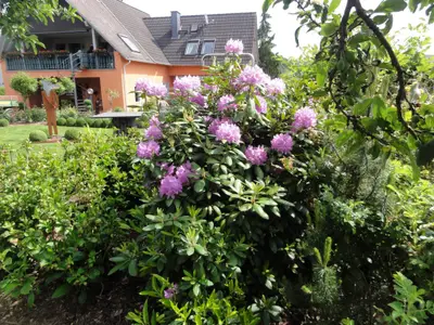 der Garten