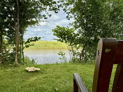 Gartenblick