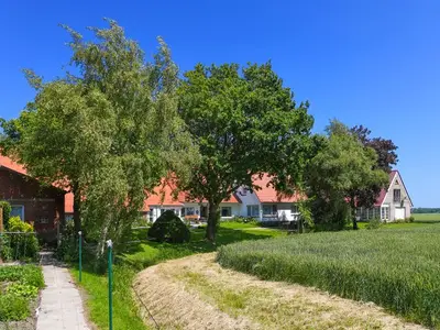 Ferienwohnung für 4 Personen (41 m²) in Buttforde 2/10