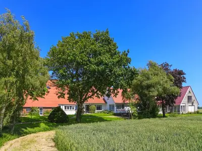 Ferienwohnung für 4 Personen (41 m²) in Buttforde 3/10