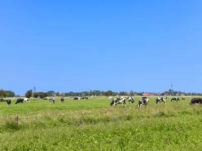 Ferienwohnung für 4 Personen (41 m²) in Buttforde 7/10