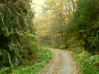 Donau-Ilz-Radweg.jpg