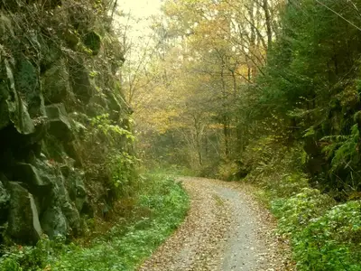 Donau-Ilz-Radweg.jpg