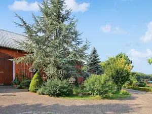 Ferienwohnung für 2 Personen (40 m²) in Wokuhl