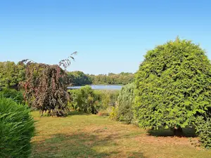 Ferienwohnung für 2 Personen (40 m²) in Wokuhl
