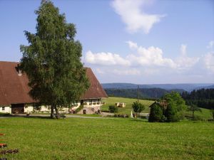 Ferienwohnung für 4 Personen (55 m²) in Wolfach