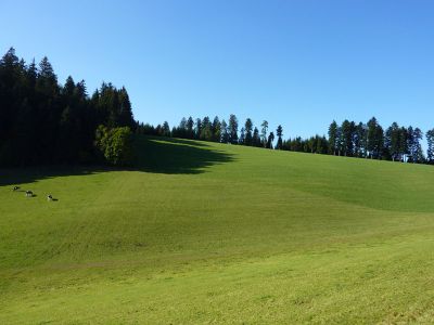 Ferienwohnung für 6 Personen (80 m²) in Wolfach 3/10