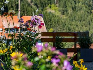 21991187-Ferienwohnung-2-Wolfach-300x225-1