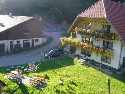 Ferienwohnung für 2 Personen (40 m²) in Wolfach 4/10