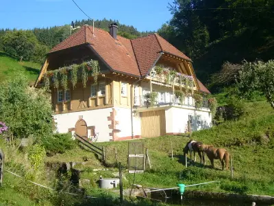 Ferienwohnung für 2 Personen (40 m²) in Wolfach 6/10