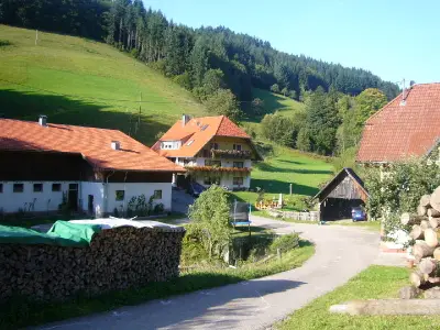 Ferienwohnung für 2 Personen (40 m²) in Wolfach 9/10