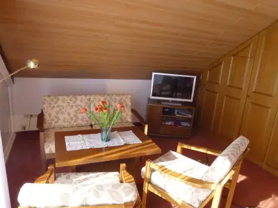 Ferienwohnung für 4 Personen (45 m²) in Wolfach 3/10