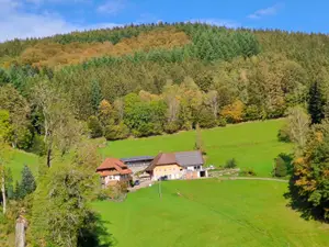 Ferienwohnung für 5 Personen (80 m²) in Wolfach