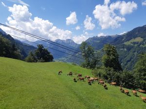 Aussicht von der Terasse