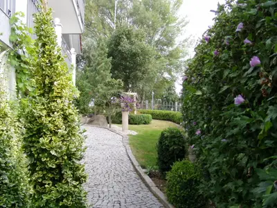 Garten Ostseite