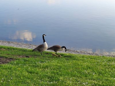 Ferienwohnung für 4 Personen in Wolframs-Eschenbach 5/10