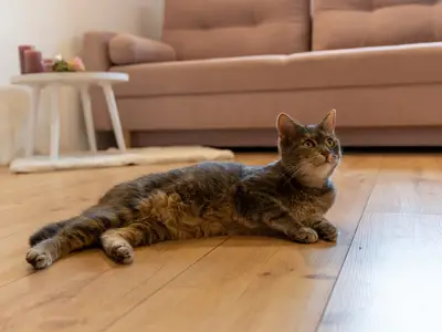 Ferienwohnung für 4 Personen in Wolframs-Eschenbach 9/10