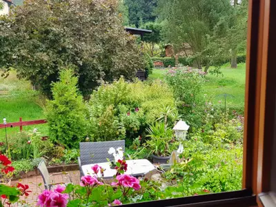 Blick aus dem Fenster