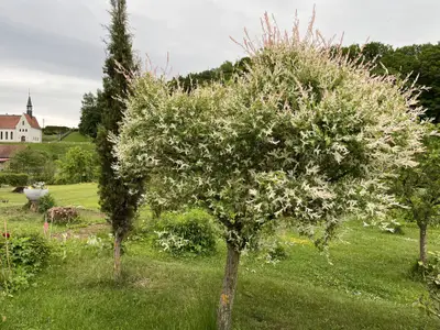 Erlöserkirche Wolfsburg-Unkeroda