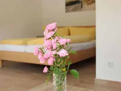 Ferienwohnung für 3 Personen (25 m²) in Wolgast 10/10