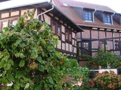 Ferienwohnung für 3 Personen (40 m²) in Wolgast 1/10