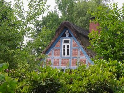 Ferienwohnung für 4 Personen (50 m²) in Worpswede 2/10