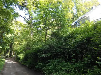 Ferienwohnung für 2 Personen in Worpswede 5/10