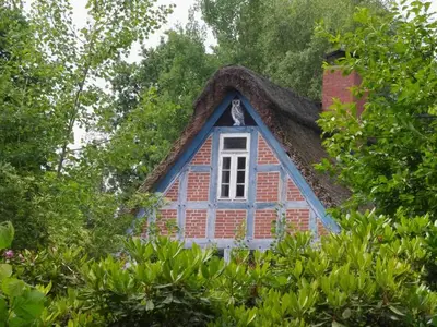 Ferienwohnung für 4 Personen (50 m²) in Worpswede 2/10