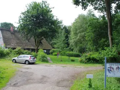 Ferienwohnung für 4 Personen (50 m²) in Worpswede 3/10