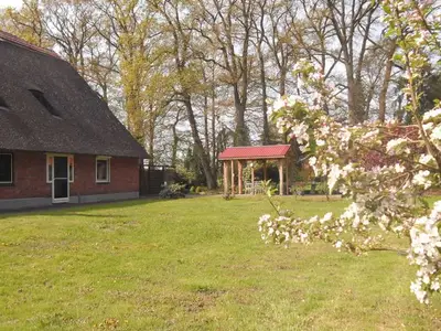 Ferienwohnung für 4 Personen (70 m²) in Worpswede 5/10