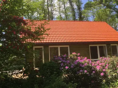 Ferienwohnung für 5 Personen (55 m²) in Worpswede 2/10