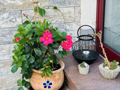 Blumenschmuck