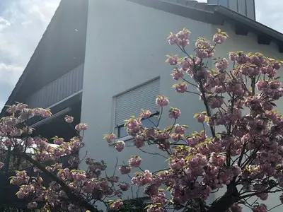 Ferienwohnung für 9 Personen (98 m²) in Wörth am Rhein 4/9