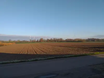 Fahrradweg  ( Kraut und Rübenradweg )