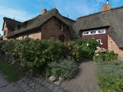 Ferienwohnung für 4 Personen (60 m²) in Wrixum 1/10