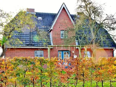 Ferienwohnung für 2 Personen (50 m²) in Wrixum 3/10