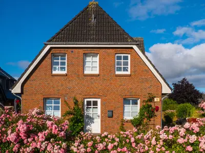 Ferienwohnung für 4 Personen (60 m²) in Wrixum 1/10