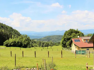 ViewSummer