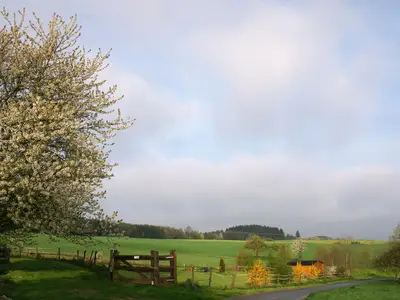 Eingezäunter Freilauf